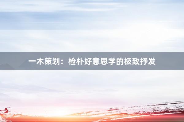 一木策划：检朴好意思学的极致抒发